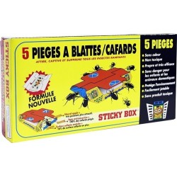 Sticky Box pieges a Blattes et Cafards